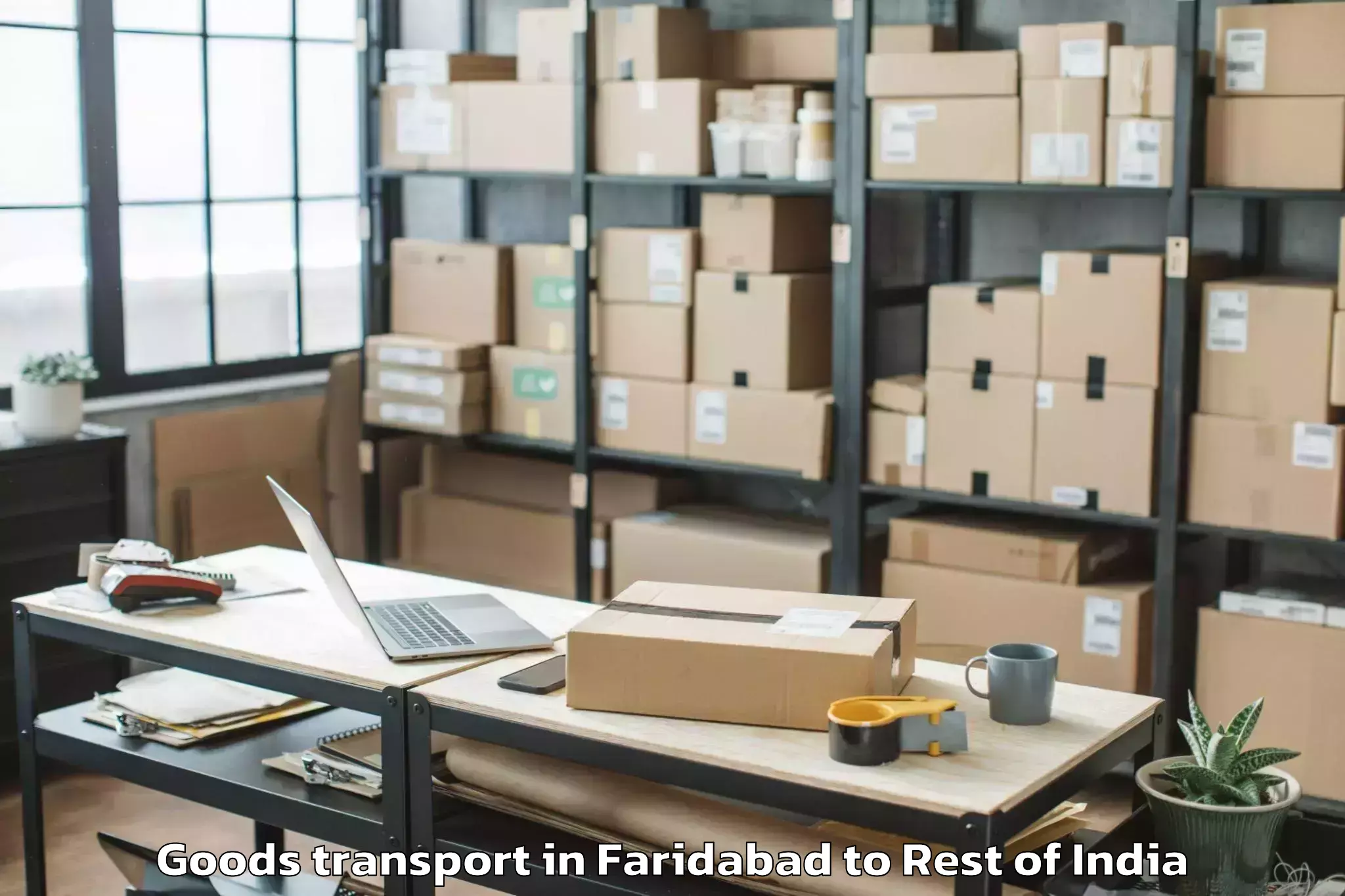 Book Faridabad to Tral Goods Transport